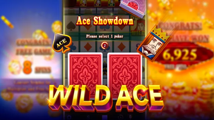 Casino Plus - Is Wild Ace Wallet Effective Enough to Use?