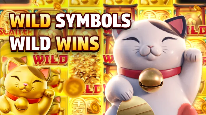 Casino Plus - What Does the Lucky Neko Bring to Casino Plus?